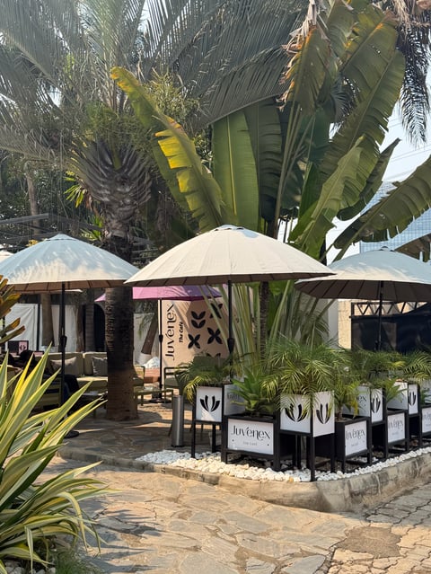 Outdoor patio seating area of Juvenex the Café with cream umbrellas, tropical plants, and cosy seating under palm trees