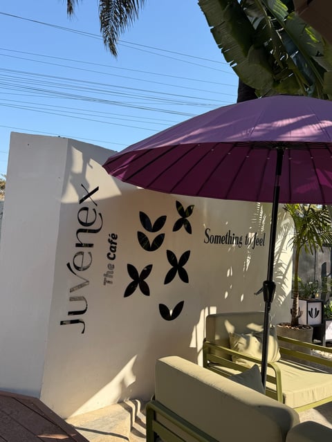 White Juvenex the Café storefront with black leaf graphics, purple umbrella providing shade, palm tree and clear sky